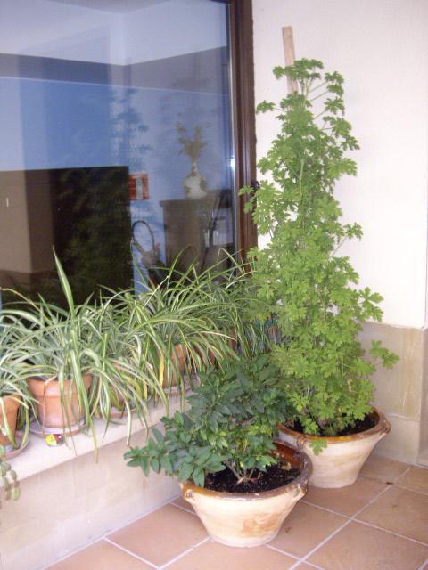 Casa Rural Rojanda Elciego Luaran gambar